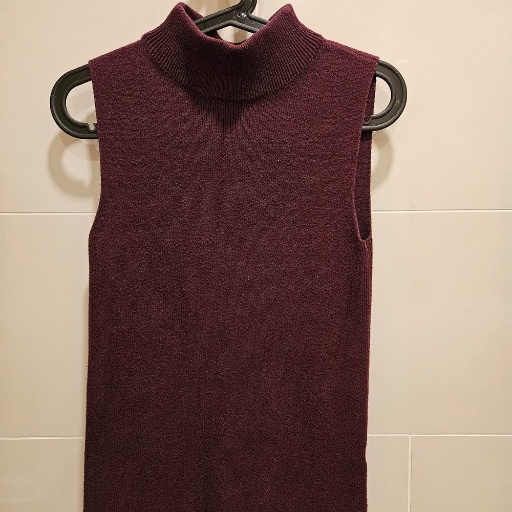 Burgundy Knit Turtle Neck